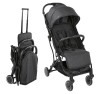 Chicco_Trolley_me_Stone_2