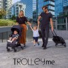 Chicco_Trolley_me_Stone_4