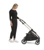 Inglesina_Electa_Beige_6