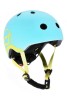 scoot_&_ride_blueberry.jpg