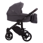 Luca_31_g1.png
