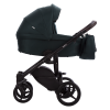 Luca_32_g1.png