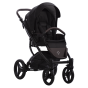 Luca_33_s1.png