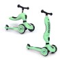 scoot_&_ride_kiwi.jpg
