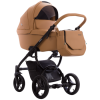 bebetto_luca_pro_19.czm.1.png