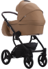 Bebetto_luca_pro_31.2.png