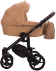 Bebetto_luca_pro_31.png
