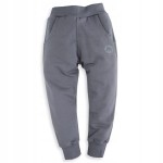 Spodnie Mrofi Sport Szare