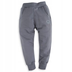 Spodnie Mrofi Sport Szare
