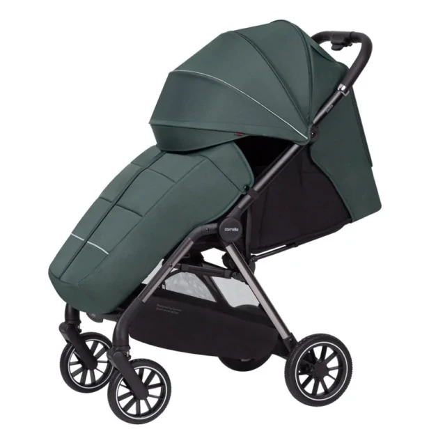 carrello-delta-kompaktowy-wozek-spacerowy-do-22-kg-jungle-green (6).webp