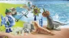 playmobil-family-fun-karmienie-zwierzat-71448-76958561.webp