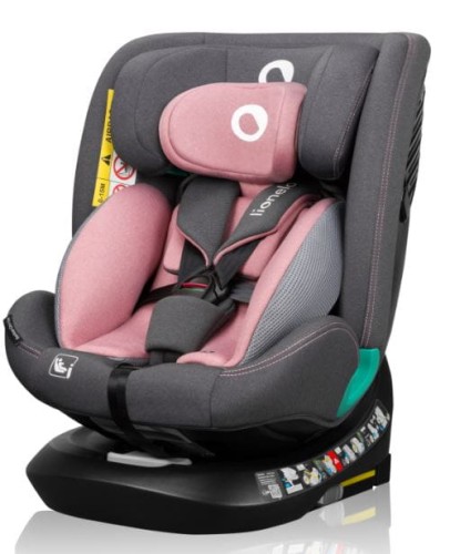 pink-rose-lionelo.JPG