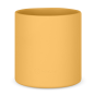 Intense Ochre.png
