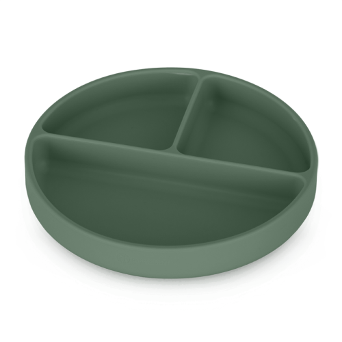 8596202007685MistyGreen.png
