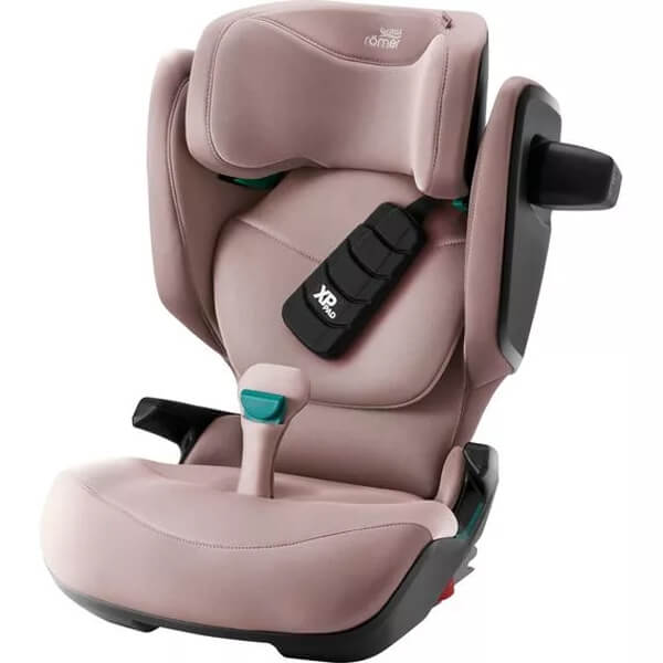 Dusty Rose-kidfix-pro.jpg
