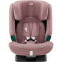 02_VERSAFIX_DustyRose_03_2024_72dpi_2000x2000.png