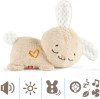 FISHER-PRICE-Spiacy-Kroliczek-Usypiacz-Uspokajacz-HXG97-grafika-funkcje.jpg