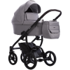 Luca_35_g2.png