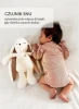 pl_er__2_-2.webp