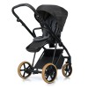 copper glow roan-ivi-2-0-vintage-w-zek-dzieci-cy-2w1-cooper-glow-3-2000x2000.jpg