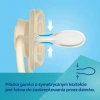 smoczek silikonowy dental air canpol babies3.webp