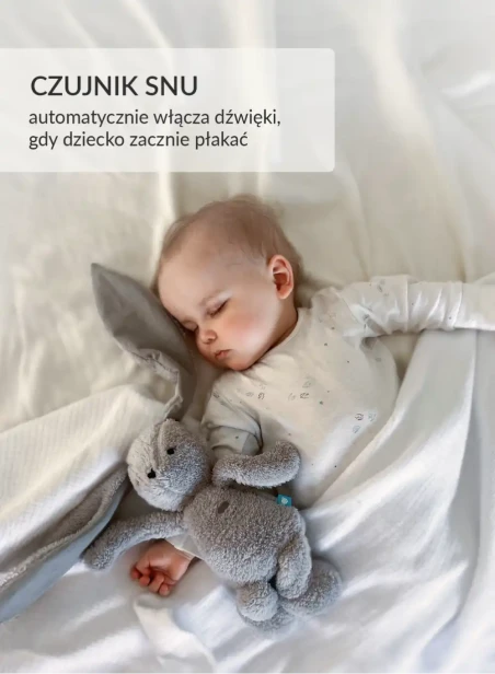 pnk_pl__1__f3gv-y8-2.webp
