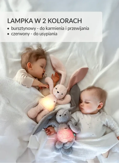 pnk_pl__5__nf6s-uq-2.webp