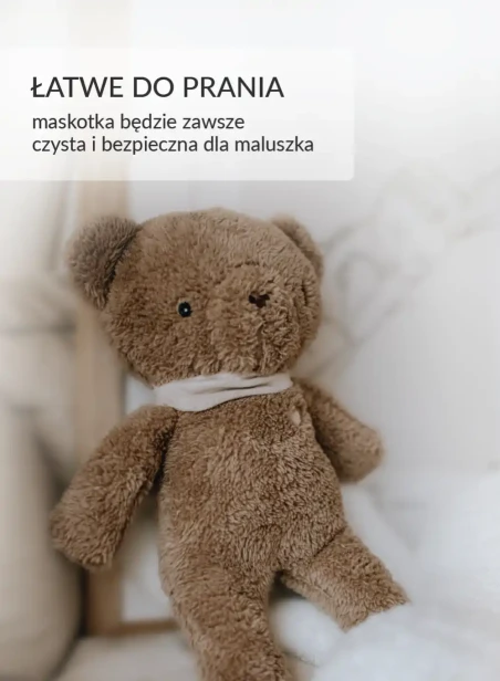 BrownBear-01-2.webp