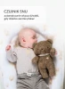 BrownBear-04-2.webp