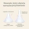 smoczki4_1100x.webp