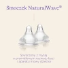 smoczki_1100x (1).webp