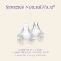 smoczki_1100x (1).webp